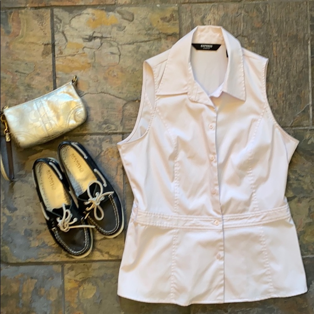 Express Pale Purple Button Down